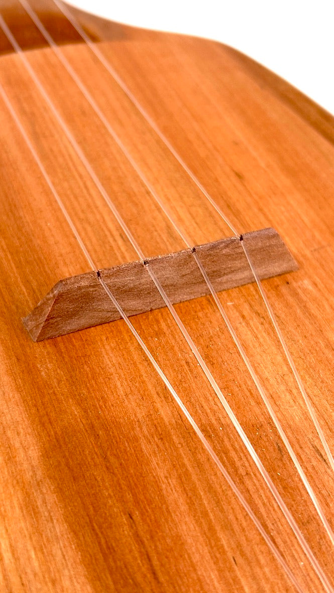 Asonu Tenor 4-string mit Pickup