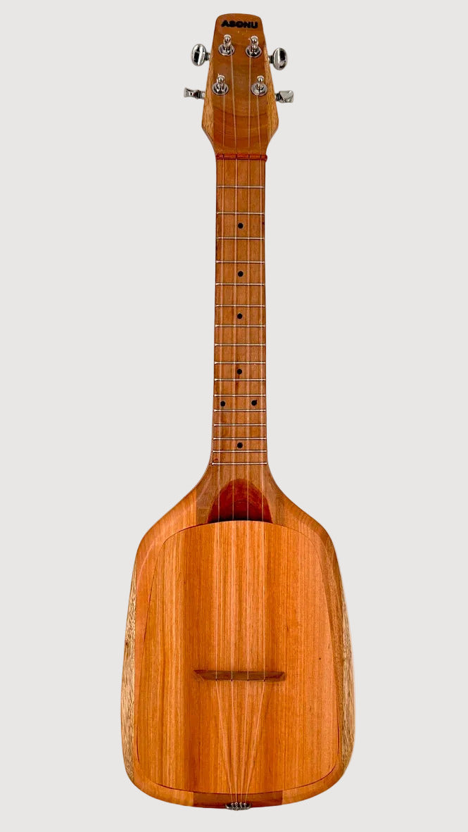 Asonu Tenor 4-string mit Pickup