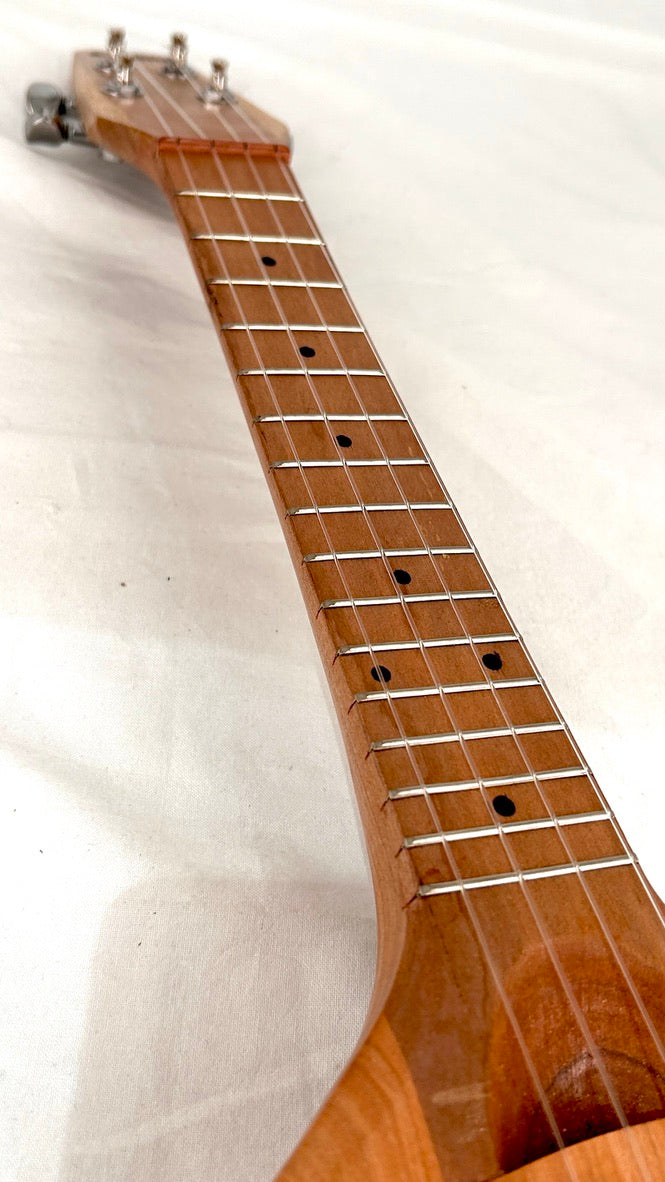 Asonu Tenor 4-string mit Pickup