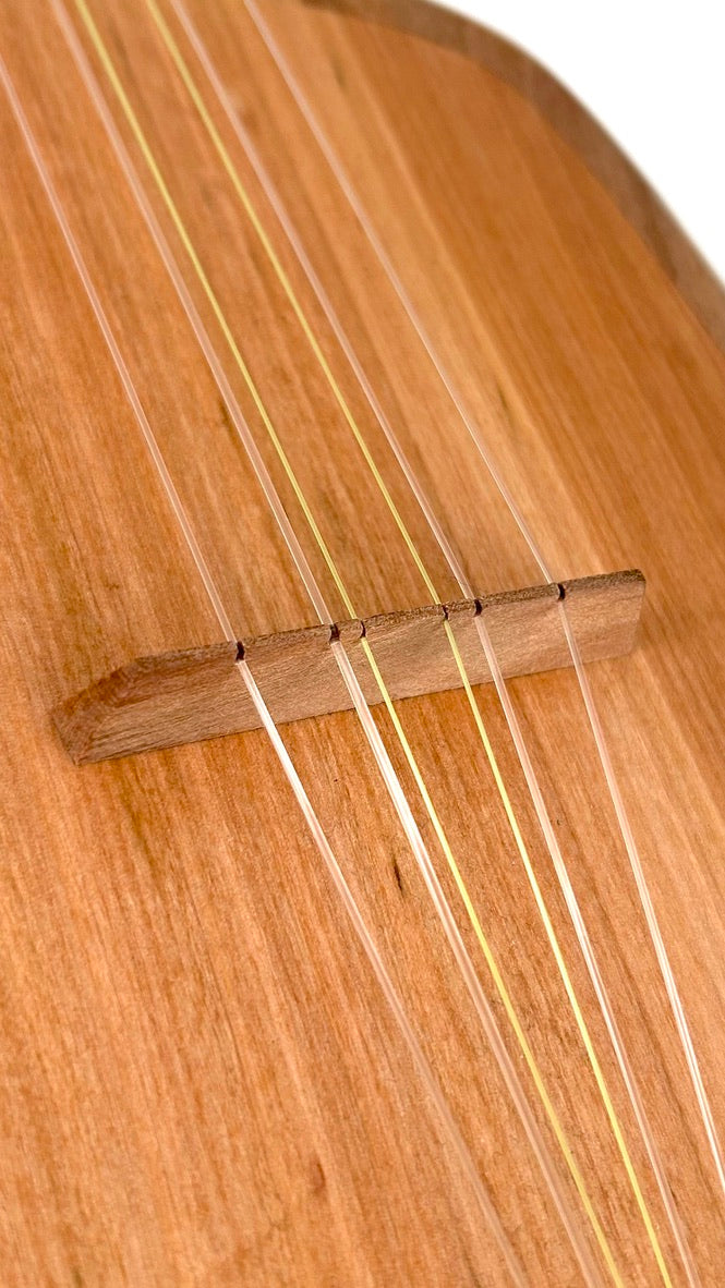 Asonu Tenor 6-string mit Pickup