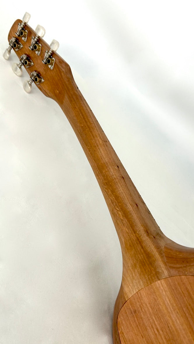 Asonu Tenor 6-string mit Pickup