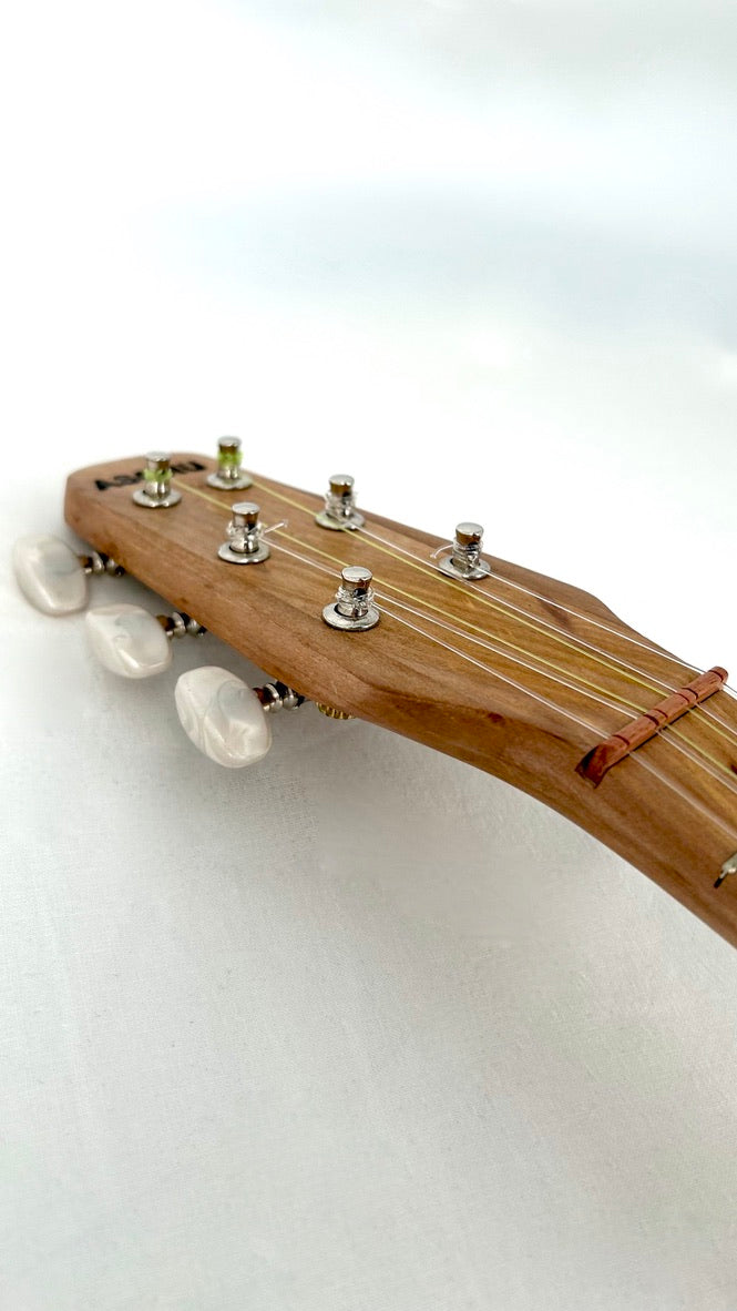 Asonu Tenor 6-string mit Pickup