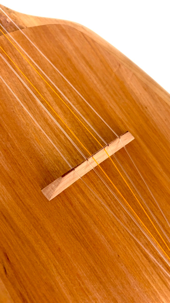 Asonu Tenor 6-string mit Pickup