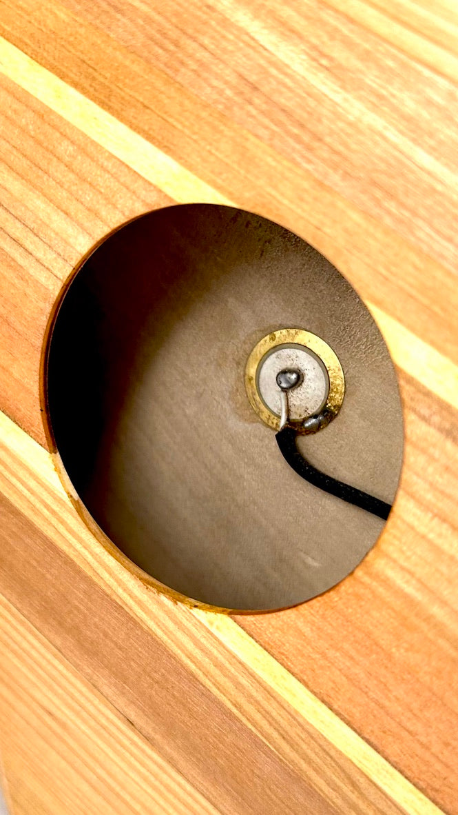 Asonu Tenor Tahitian 8-string mit Pickup