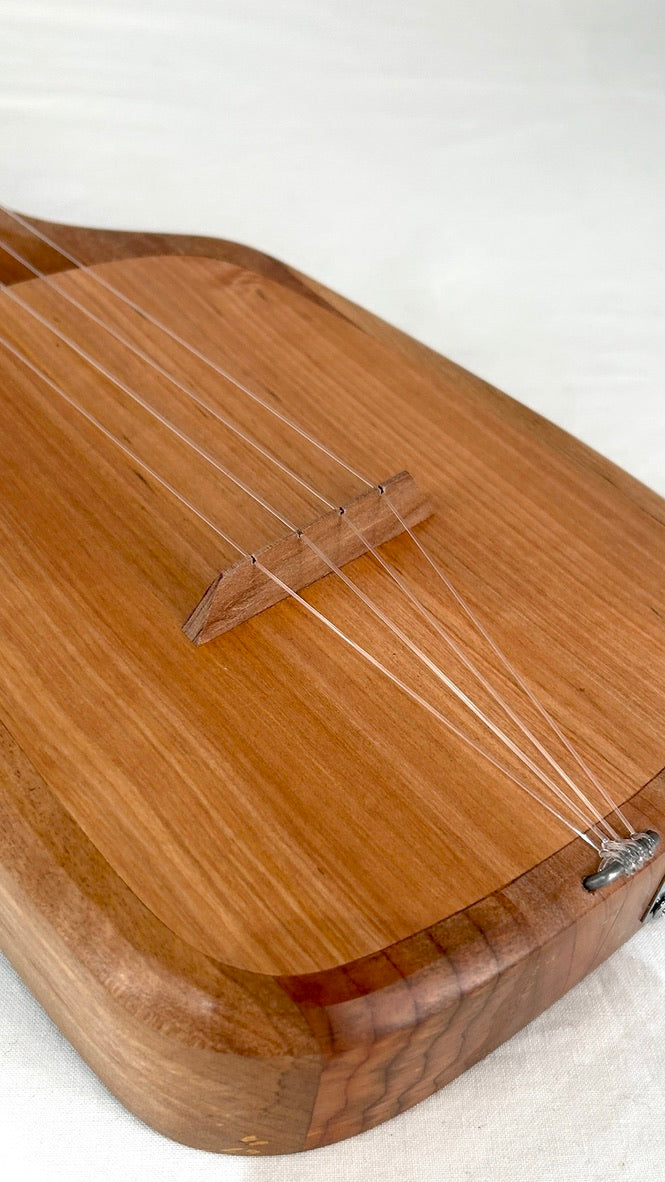 Asonu Tenor 4-string mit Pickup