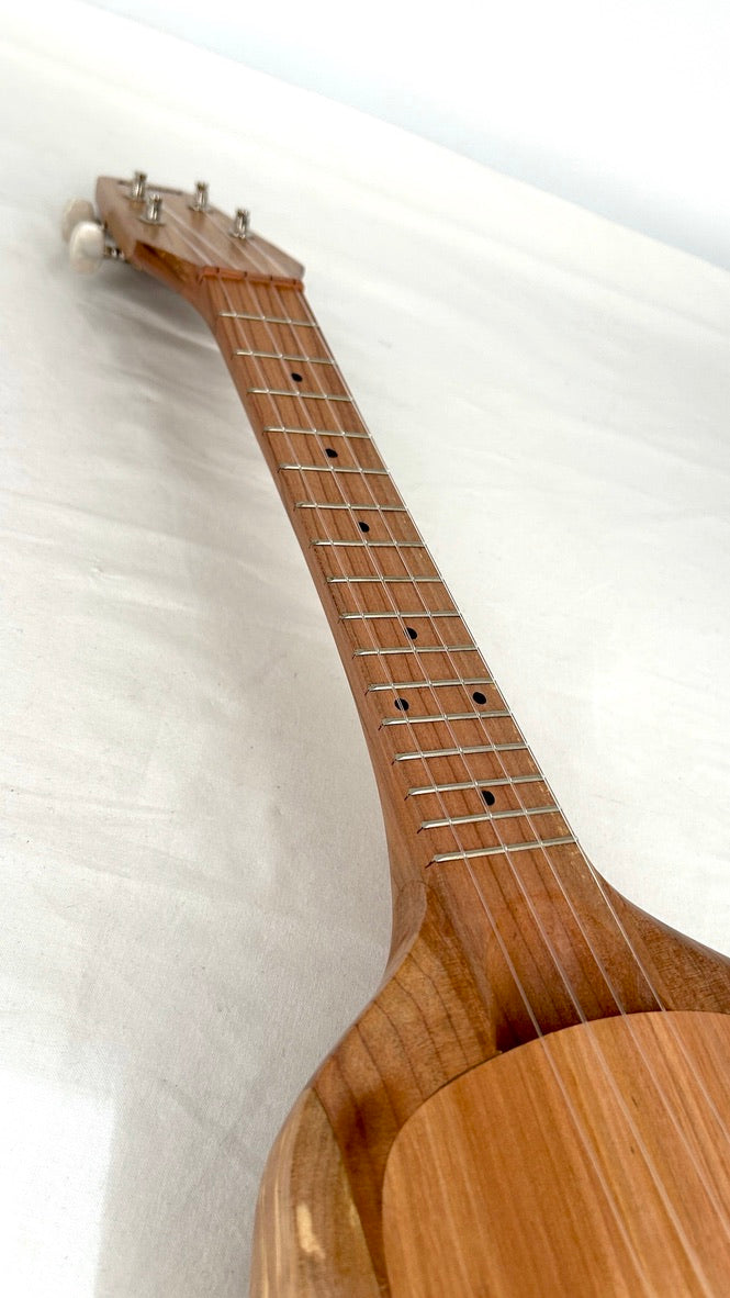 Asonu Tenor 4-string mit Pickup