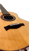 Beck Tenor #204