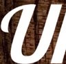 Gute Ukulelen kaufen vom Fachmann und Musiker logo