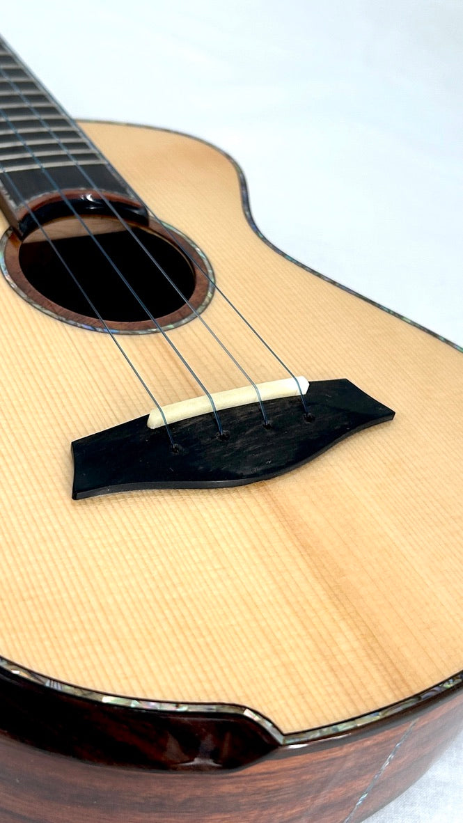 MAESTRO UC-SR SB Concert