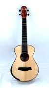 MAESTRO UC-SR SB Concert
