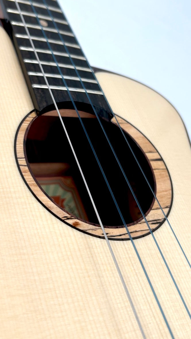 aNueNue UB200 Moonbird Bariton