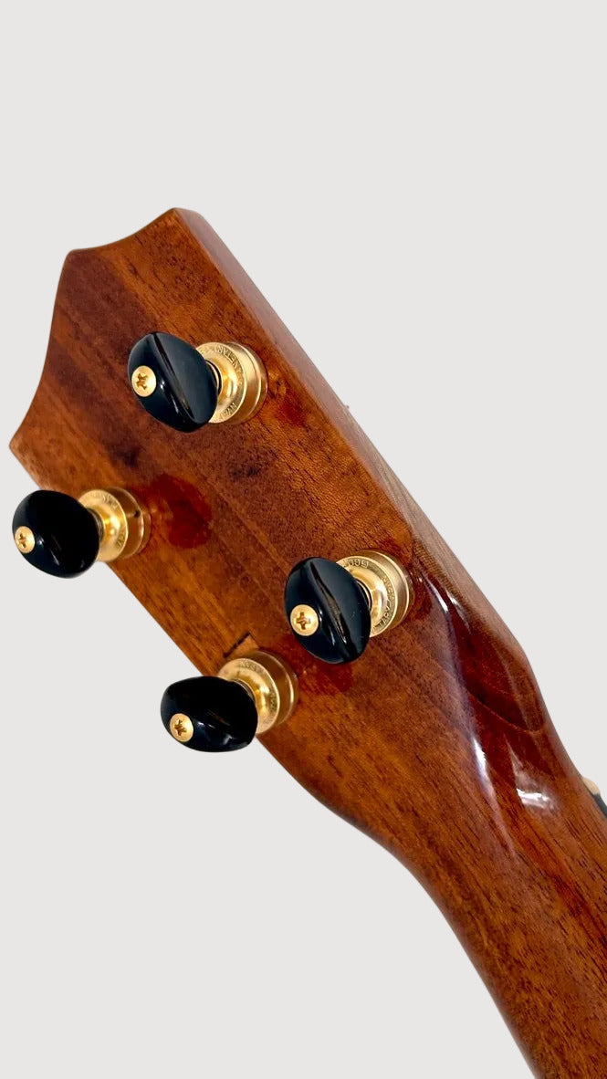 DaSilva Tenor Thin Body
