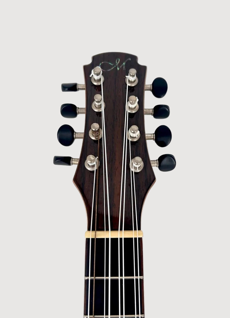 MAESTRO UT-IR Tenor 8-string cutaway