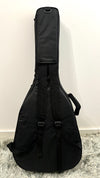 aNueNue L20 Gitarre