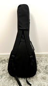 aNueNue M3E Travel Guitar