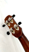 HOZEN Green Label Bariton Cedar / Rosewood