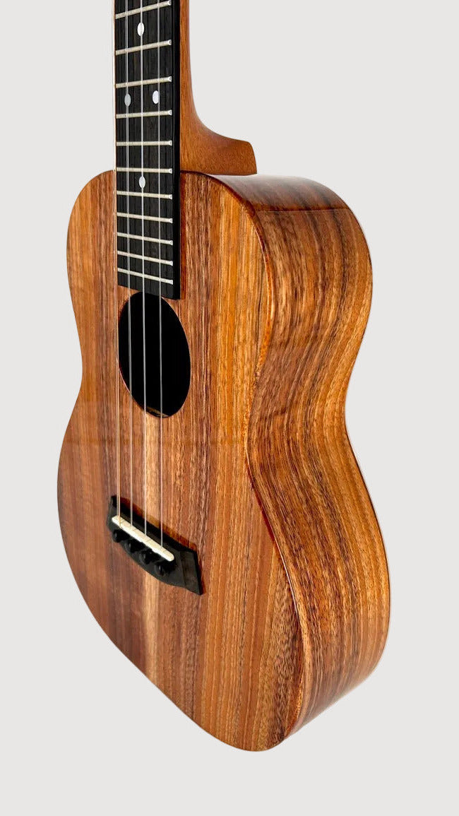 Kanile'a K1 Tenor Fünfsaiter gloss