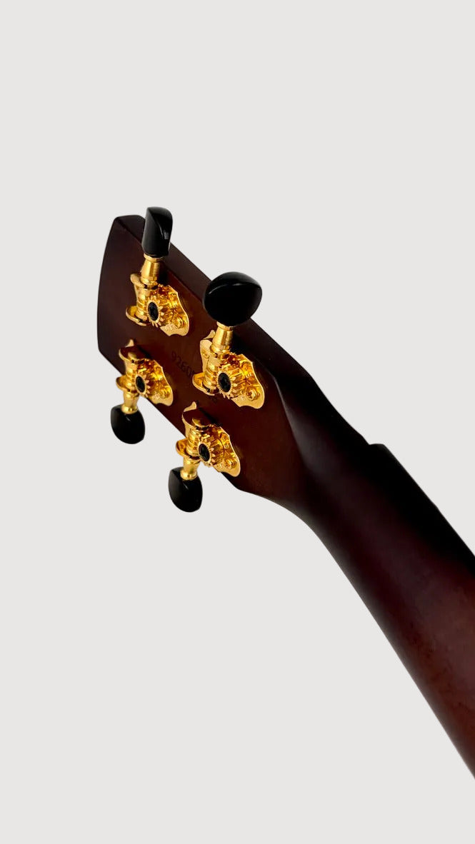 Kala Revelator Nautilus Horizon Black Night Mango Tenor