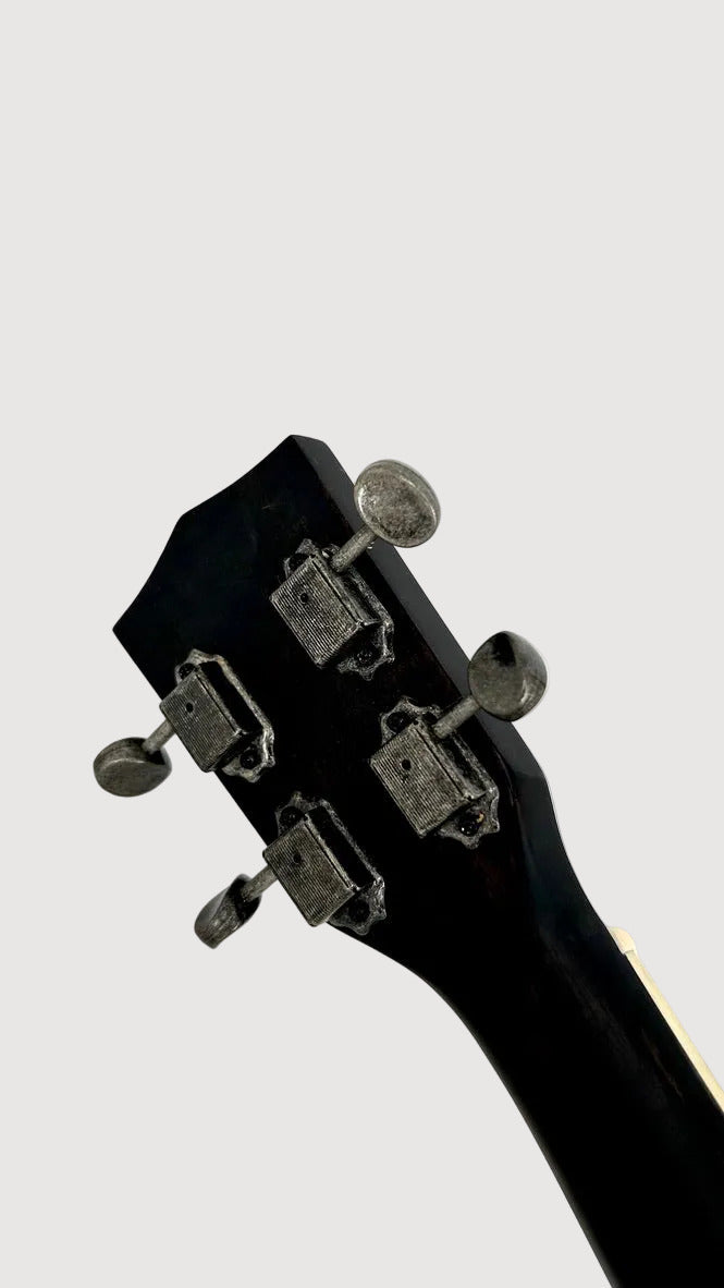 KALA Resonator Tenor Brushed Nickel