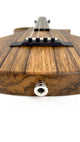 KALA Revelator Nautilus Premium Korina Tenor