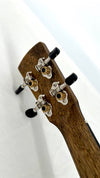 KALA Revelator Nautilus Premium Korina Tenor