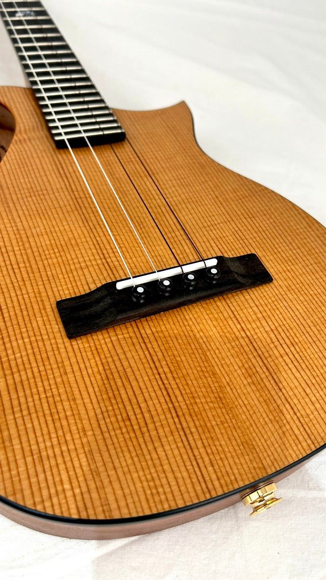 KALA Revelator Nautilus Torrified Spruce Tenor