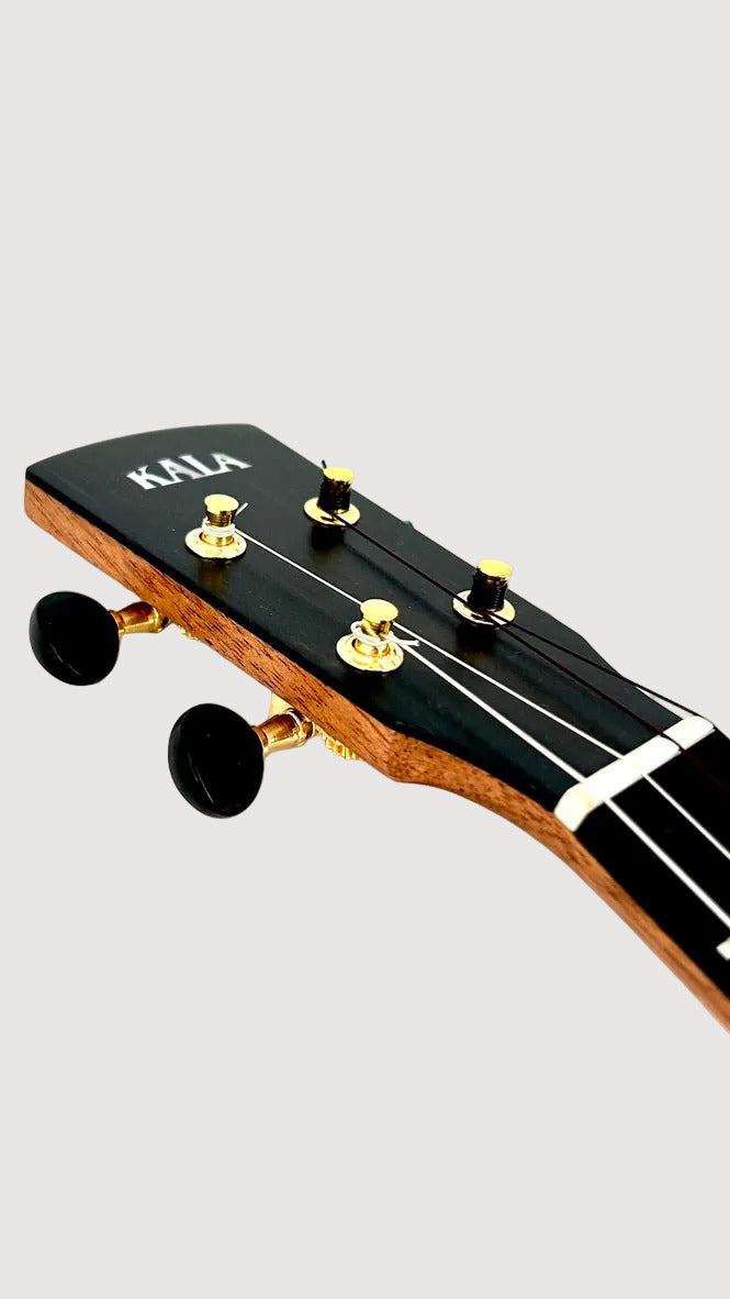 KALA Revelator Nautilus Torrified Spruce Tenor