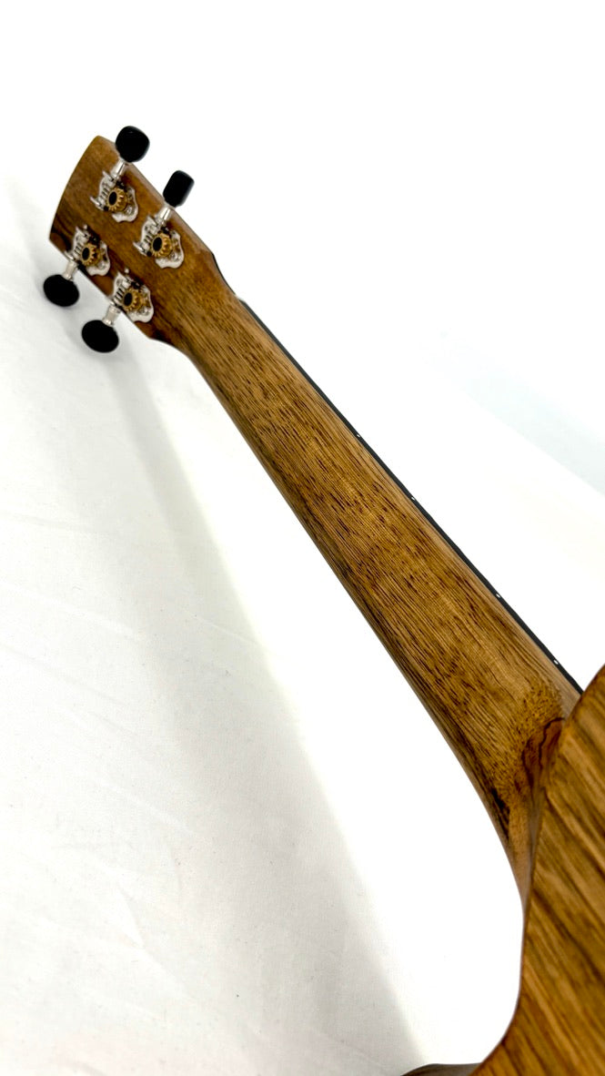 KALA Revelator Nautilus Premium Korina Tenor