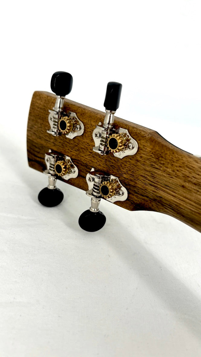 KALA Revelator Nautilus Premium Korina Tenor