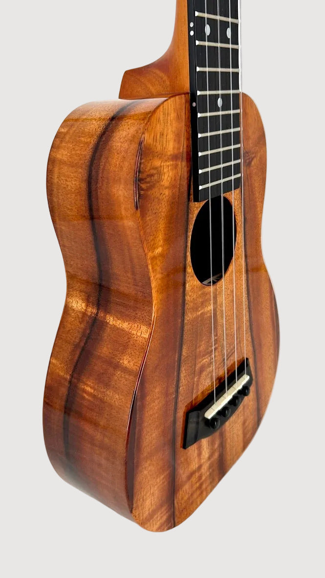 Kanile'a K1 Concert Longneck gloss
