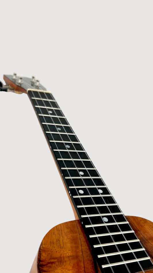 Kanile'a K1 Concert Longneck gloss