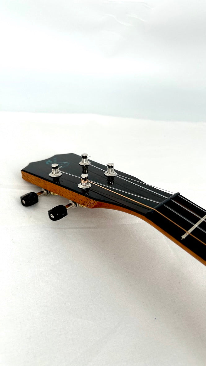 Kanile'a 'Ilikai Tenor