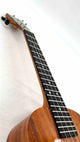 Kanile'a D1 Tenor Core