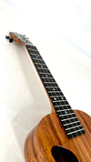 Kanile'a D1 Tenor Core