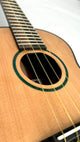 Ko'olau CS Tenor Kanazawa