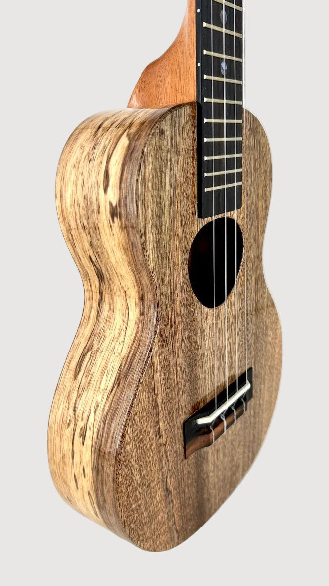 KoAloha KCM-00 Mango Concert gloss #21