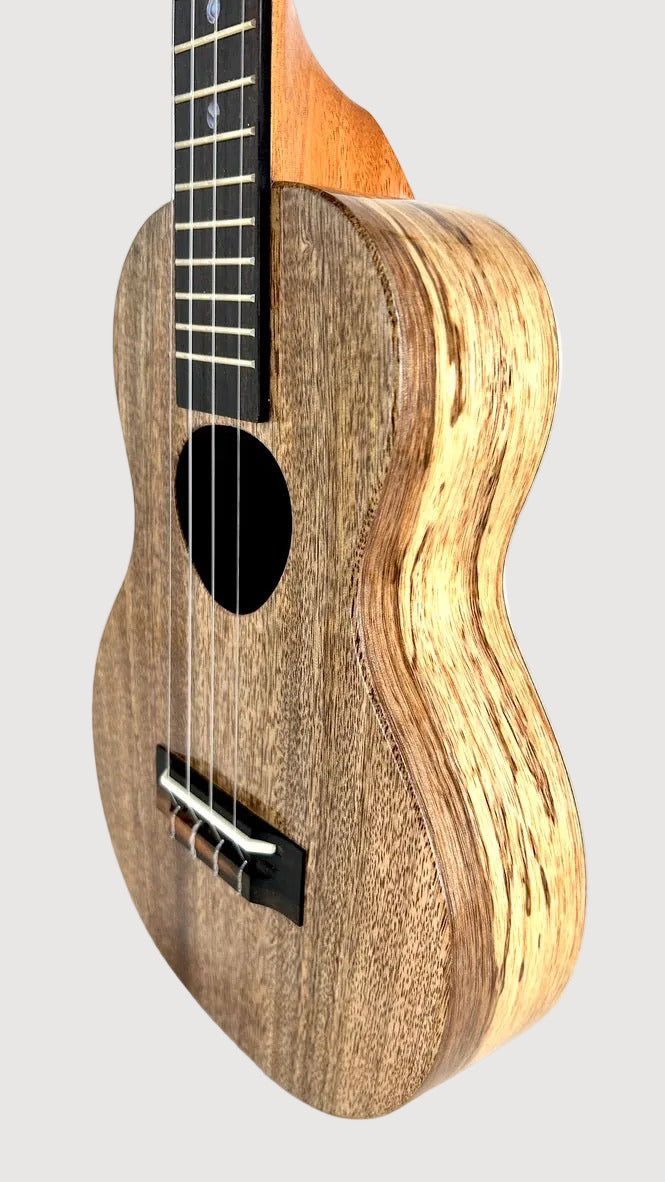 KoAloha KCM-00 Mango Concert gloss #21