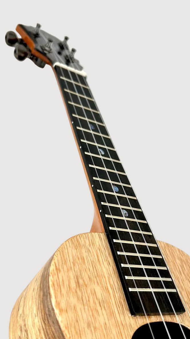 KoAloha KCM-00 Mango Concert gloss #22