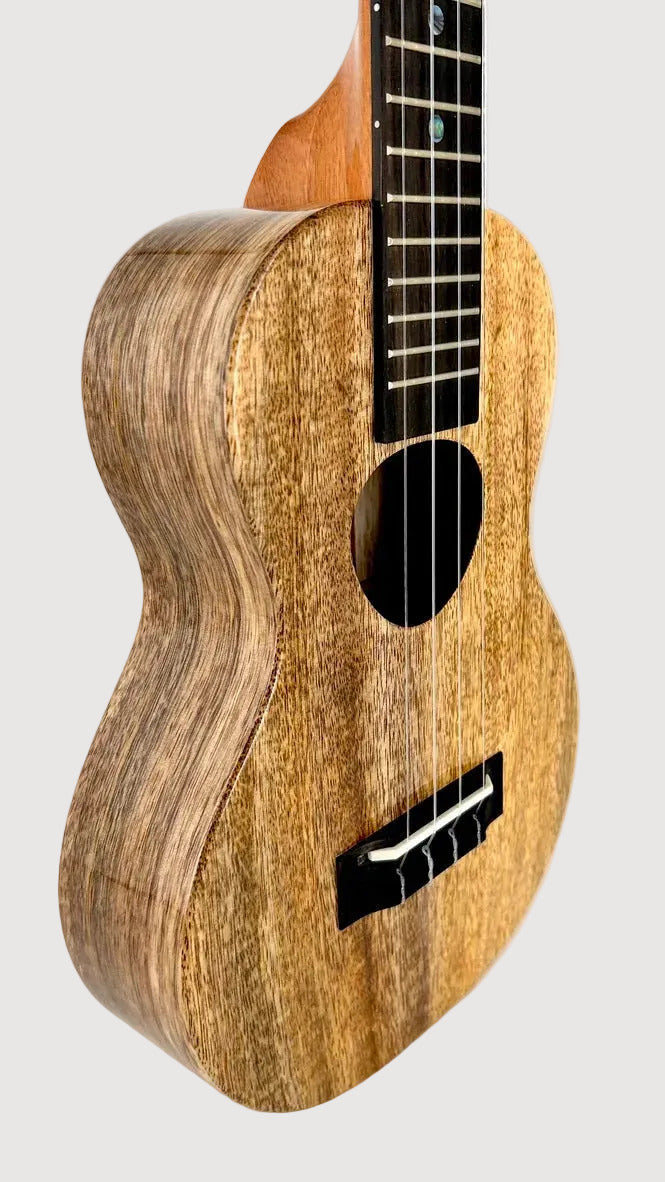 KoAloha KCM-00 Mango Concert gloss #23