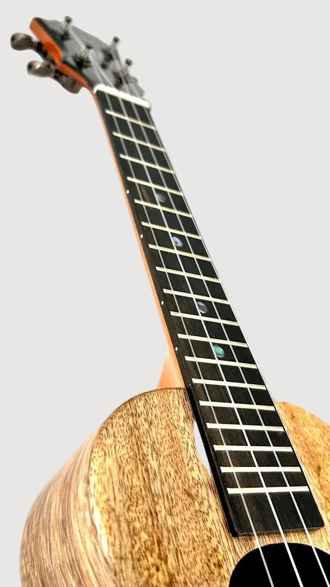 KoAloha KCM-00 Mango Concert gloss #23