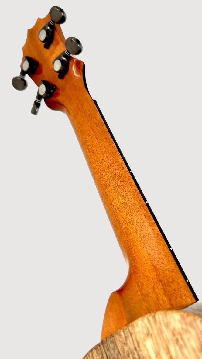 KoAloha KCM-00 Mango Concert gloss #23