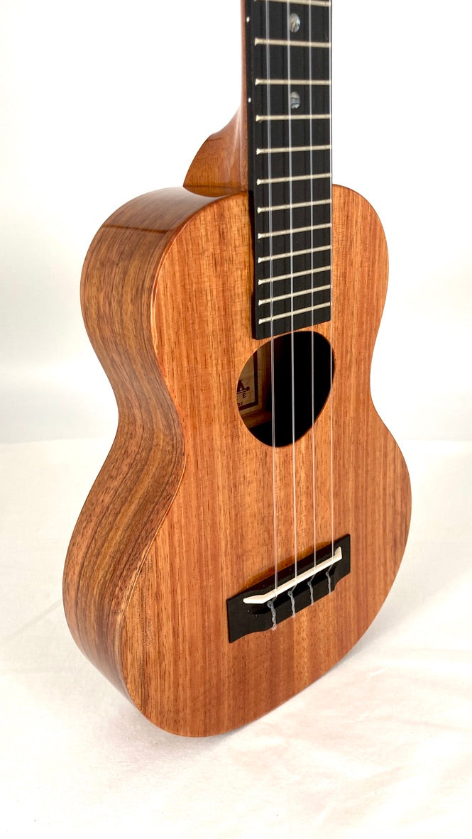 KoAloha KCM-02 Concert Longneck gloss #11