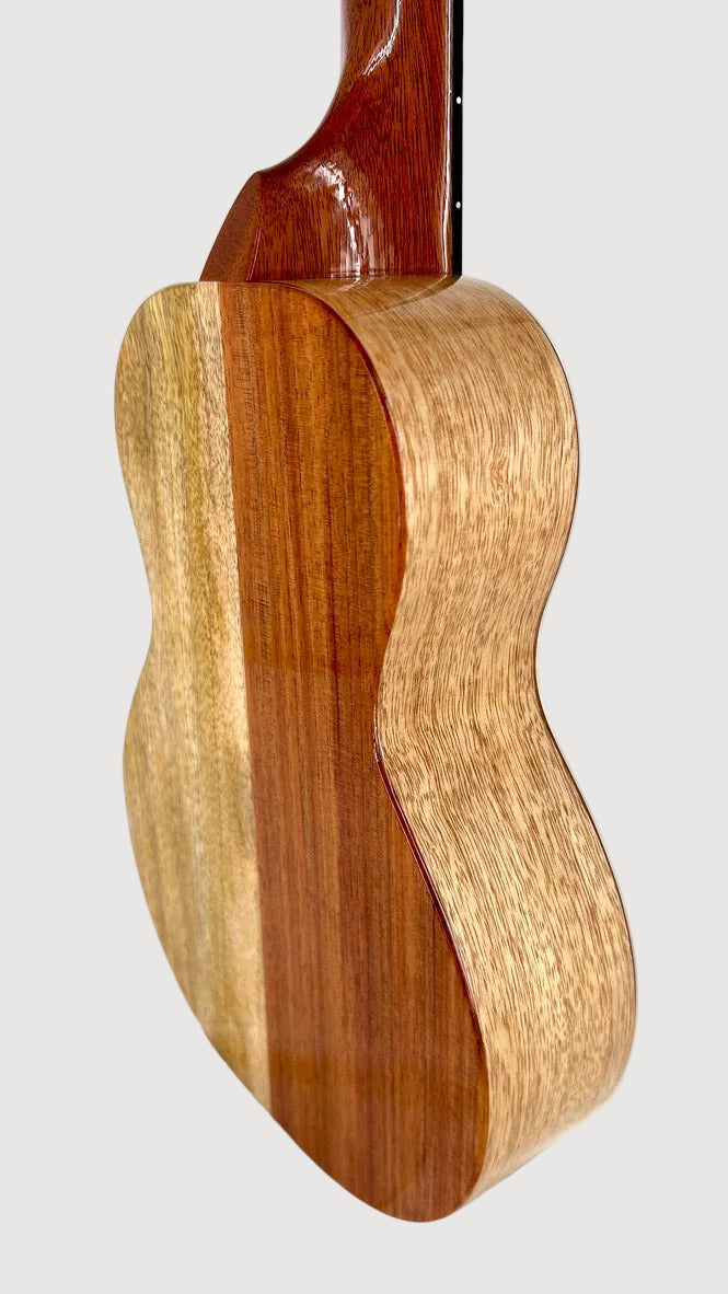 Koaloha KCNP-00 Naupaka Concert gloss #4