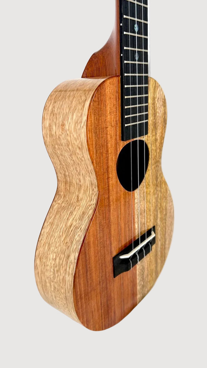Koaloha KCNP-00 Naupaka Concert gloss #4
