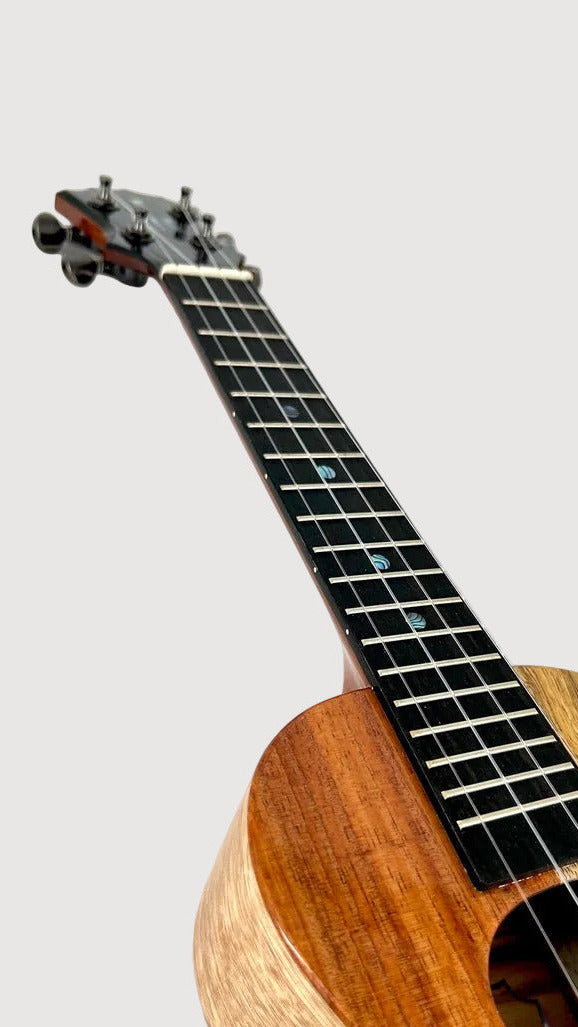Koaloha KCNP-00 Naupaka Concert gloss #4