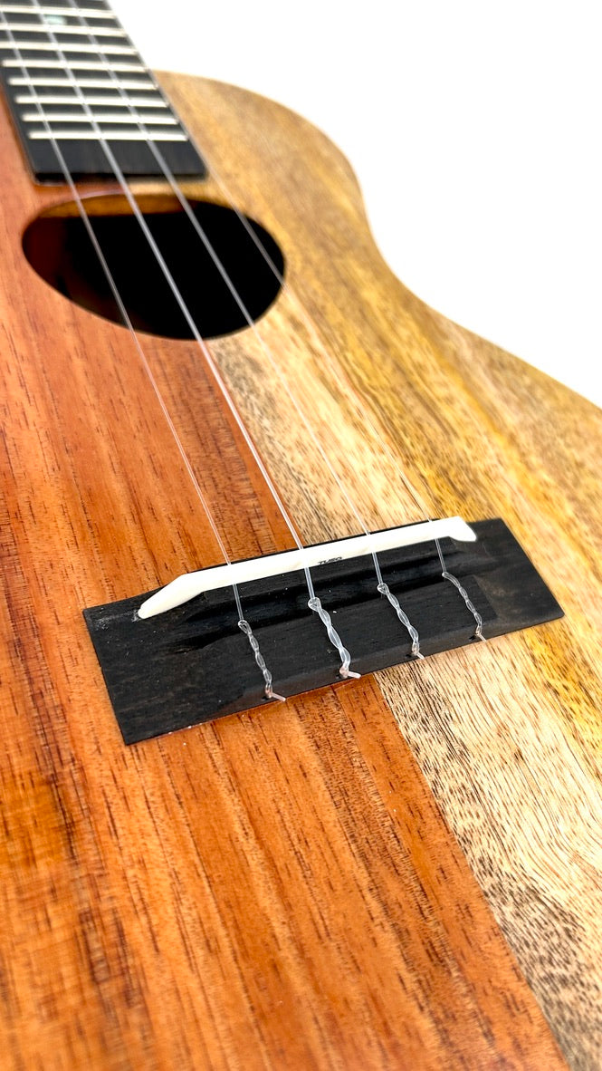 Koaloha KCNP-00 Naupaka Concert gloss #6