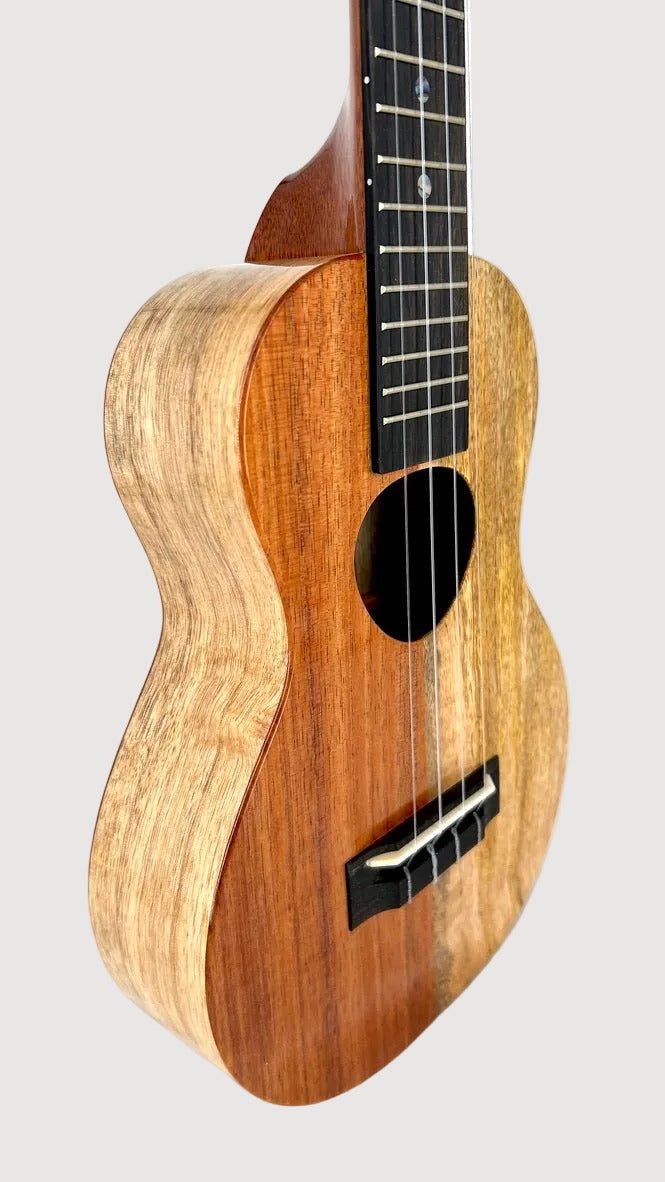 Koaloha KCNP-00 Naupaka Concert gloss #6