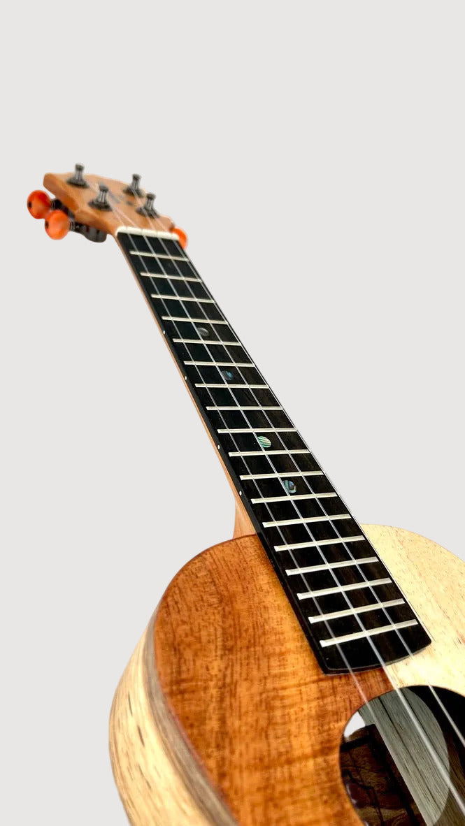 Koaloha KCNP-10 Naupaka Concert matt #4