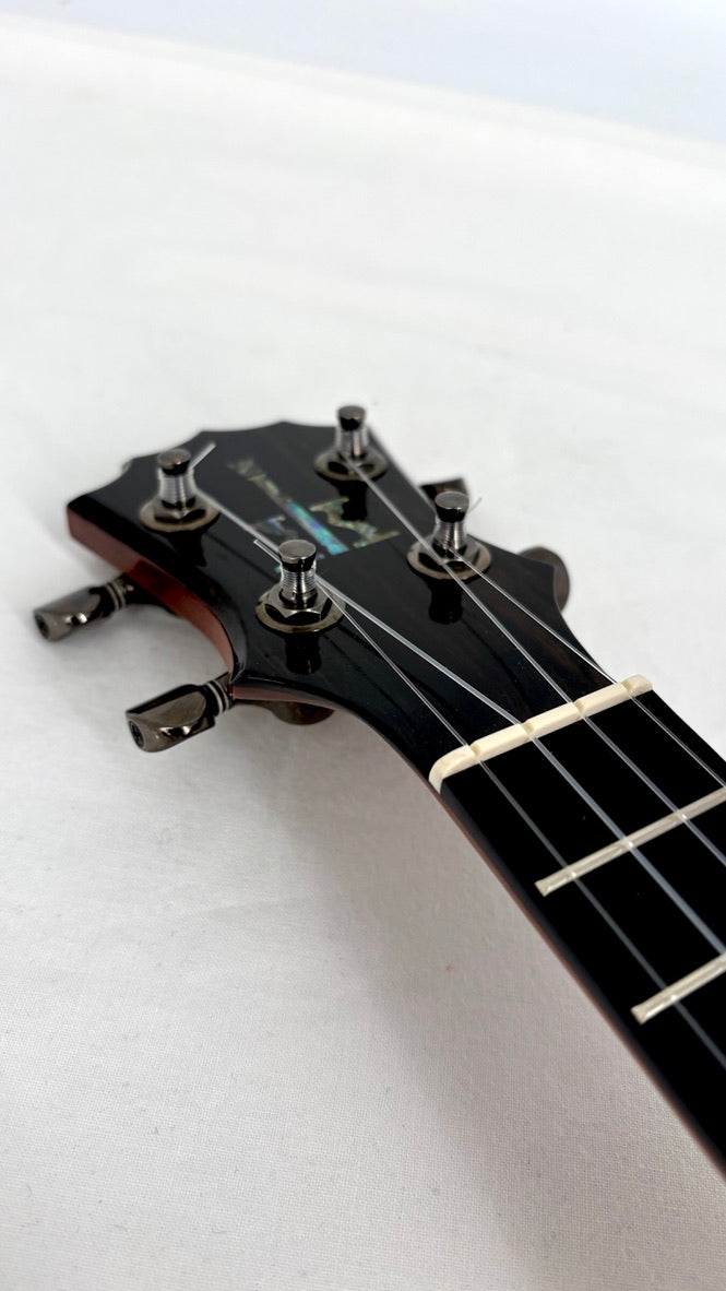 KoAloha KSM-01 Sopran Pineapple #10