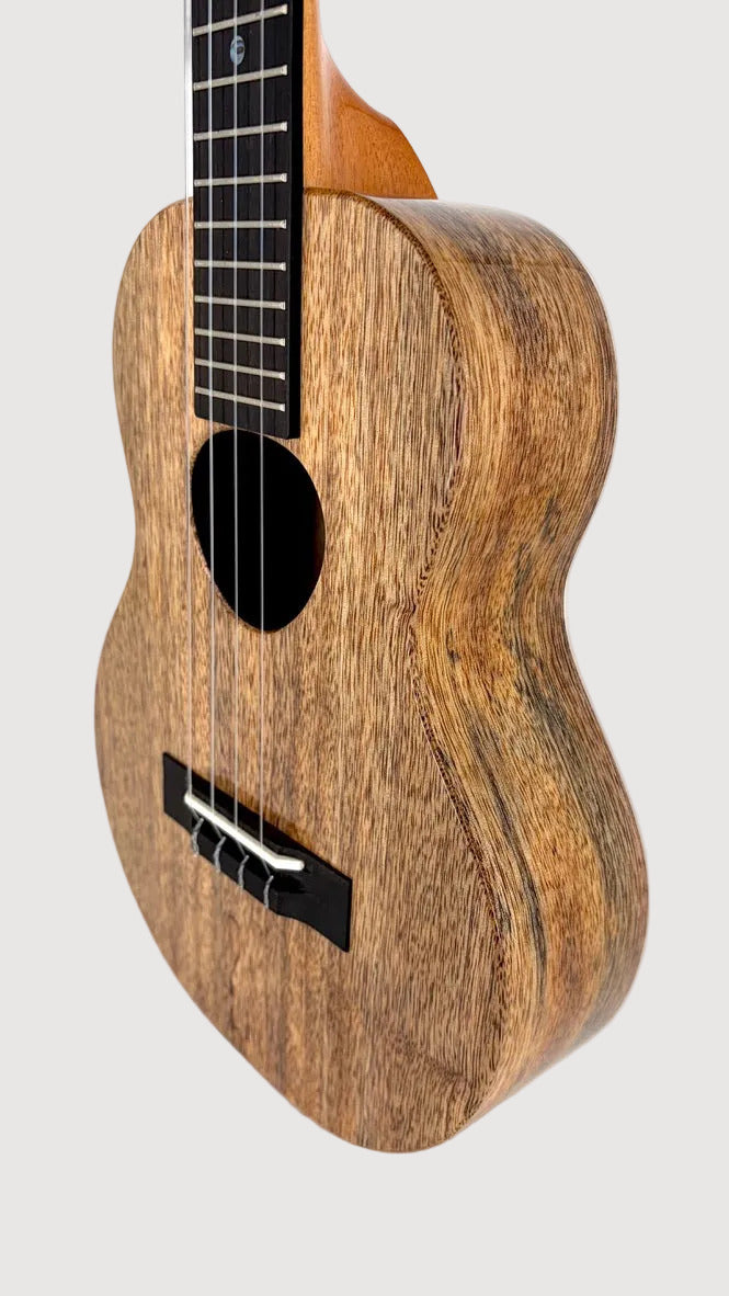 Koaloha KTM-00 Mango Tenor gloss #28